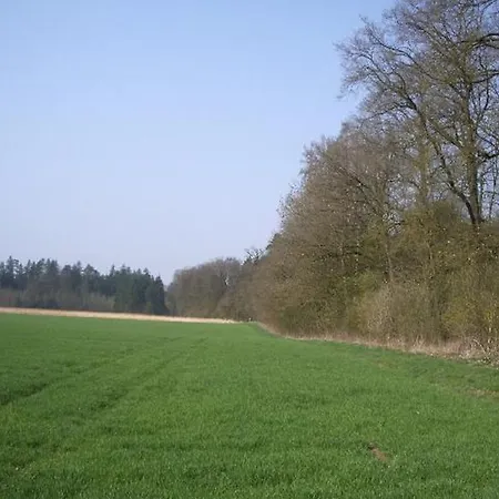 Bruckmeier *